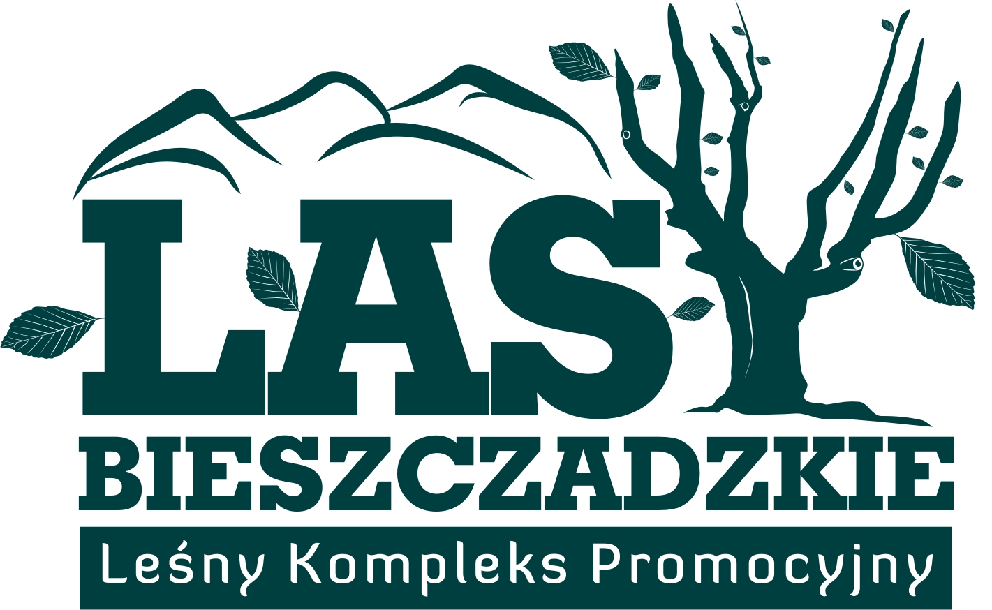 LKP Lasy Bieszczadzkie mają nową radę