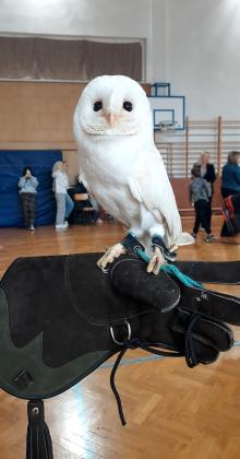 Wydarzenie "Co w lesie huczy?"